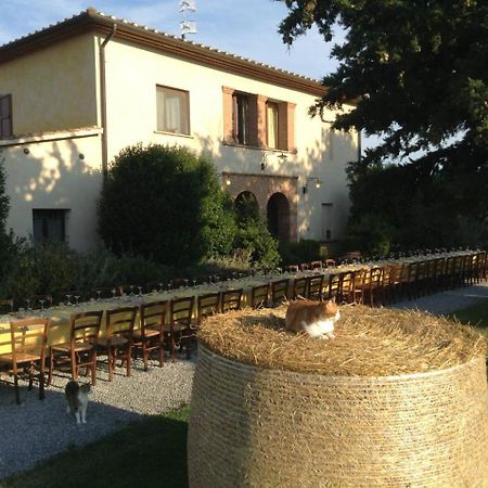 Agriturismo Giuncola & Granaiolo Rispescia Ngoại thất bức ảnh