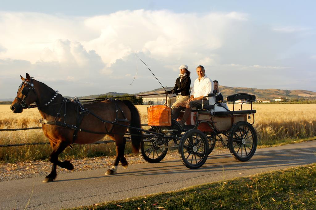 Agriturismo Giuncola & Granaiolo Rispescia Ngoại thất bức ảnh