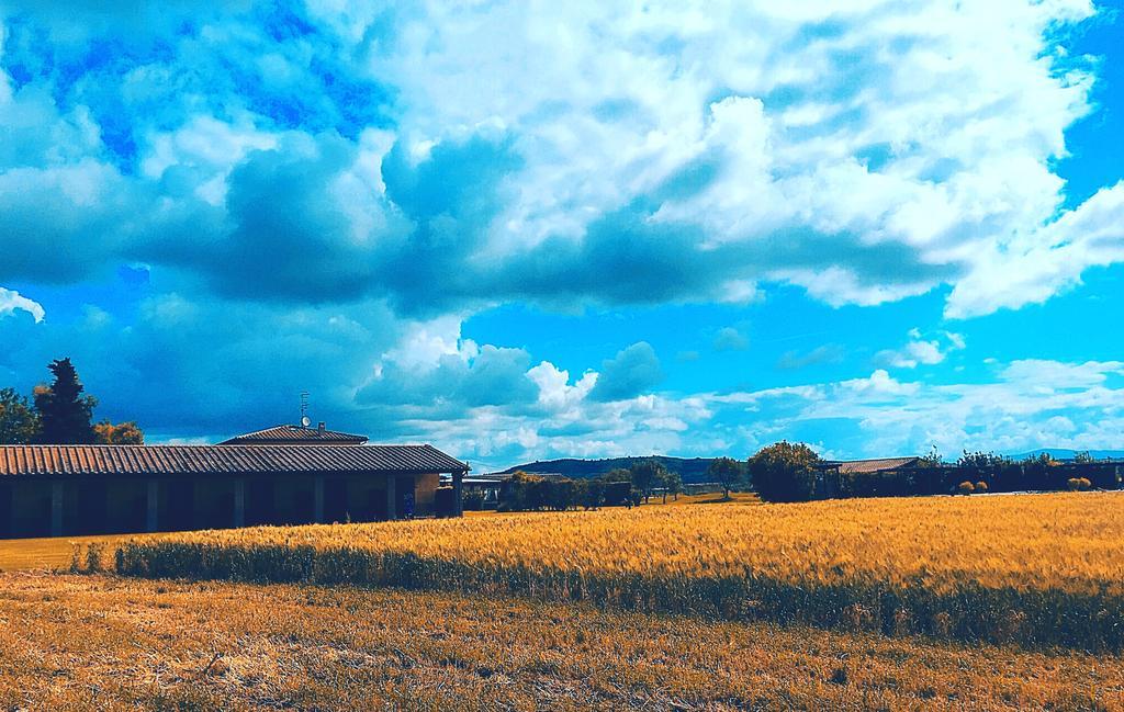 Agriturismo Giuncola & Granaiolo Rispescia Ngoại thất bức ảnh