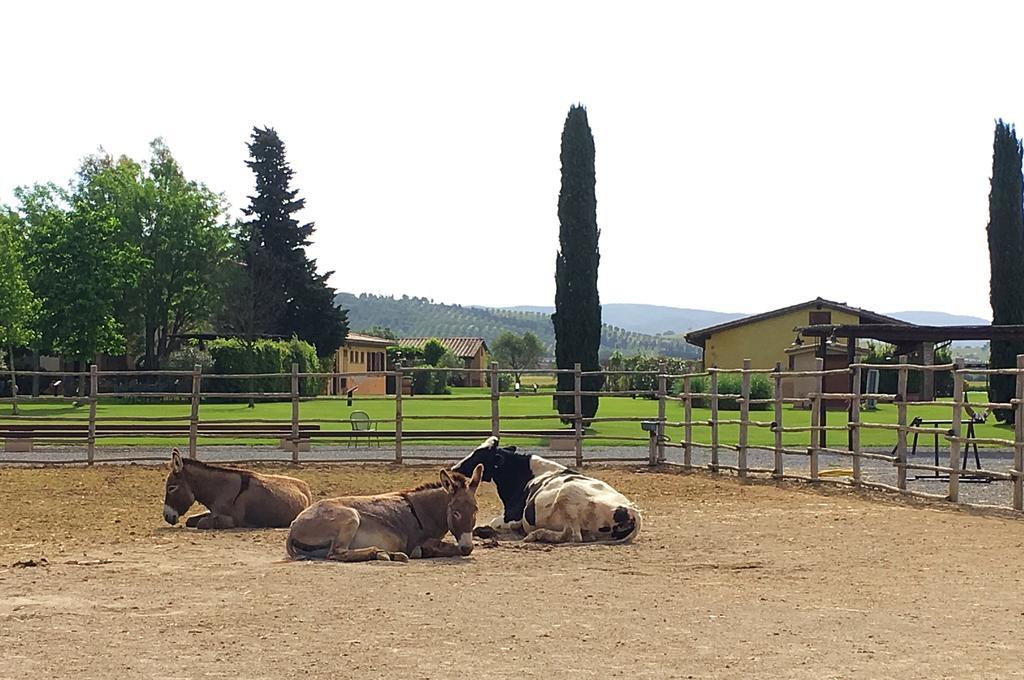 Agriturismo Giuncola & Granaiolo Rispescia Ngoại thất bức ảnh