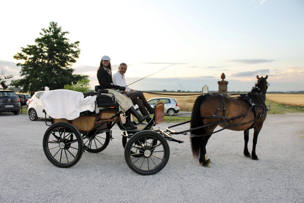 Agriturismo Giuncola & Granaiolo Rispescia Ngoại thất bức ảnh