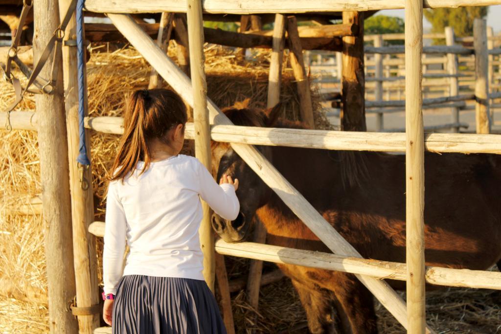 Agriturismo Giuncola & Granaiolo Rispescia Ngoại thất bức ảnh
