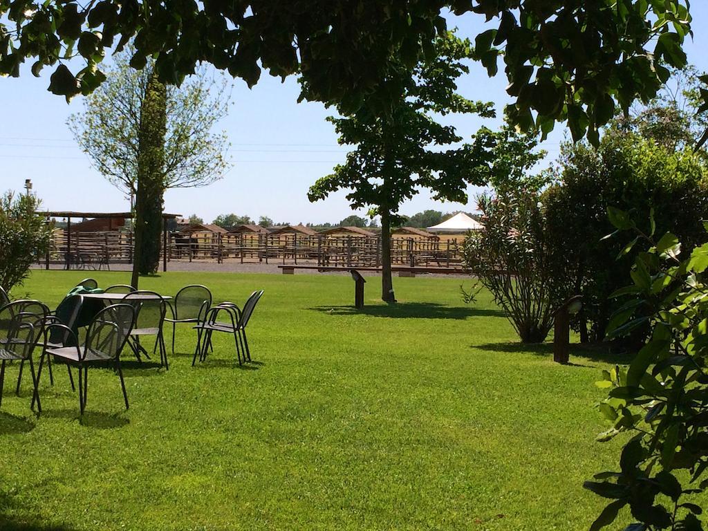 Agriturismo Giuncola & Granaiolo Rispescia Ngoại thất bức ảnh