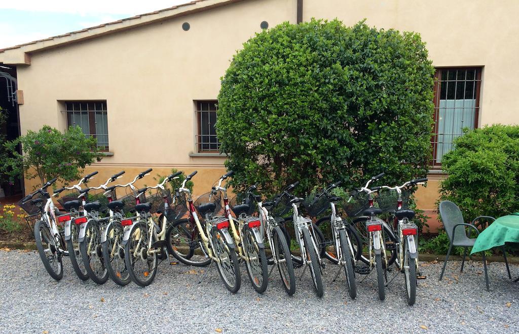 Agriturismo Giuncola & Granaiolo Rispescia Ngoại thất bức ảnh