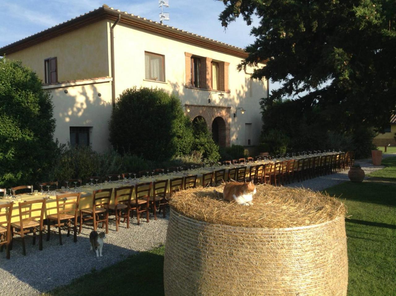 Agriturismo Giuncola & Granaiolo Rispescia Ngoại thất bức ảnh